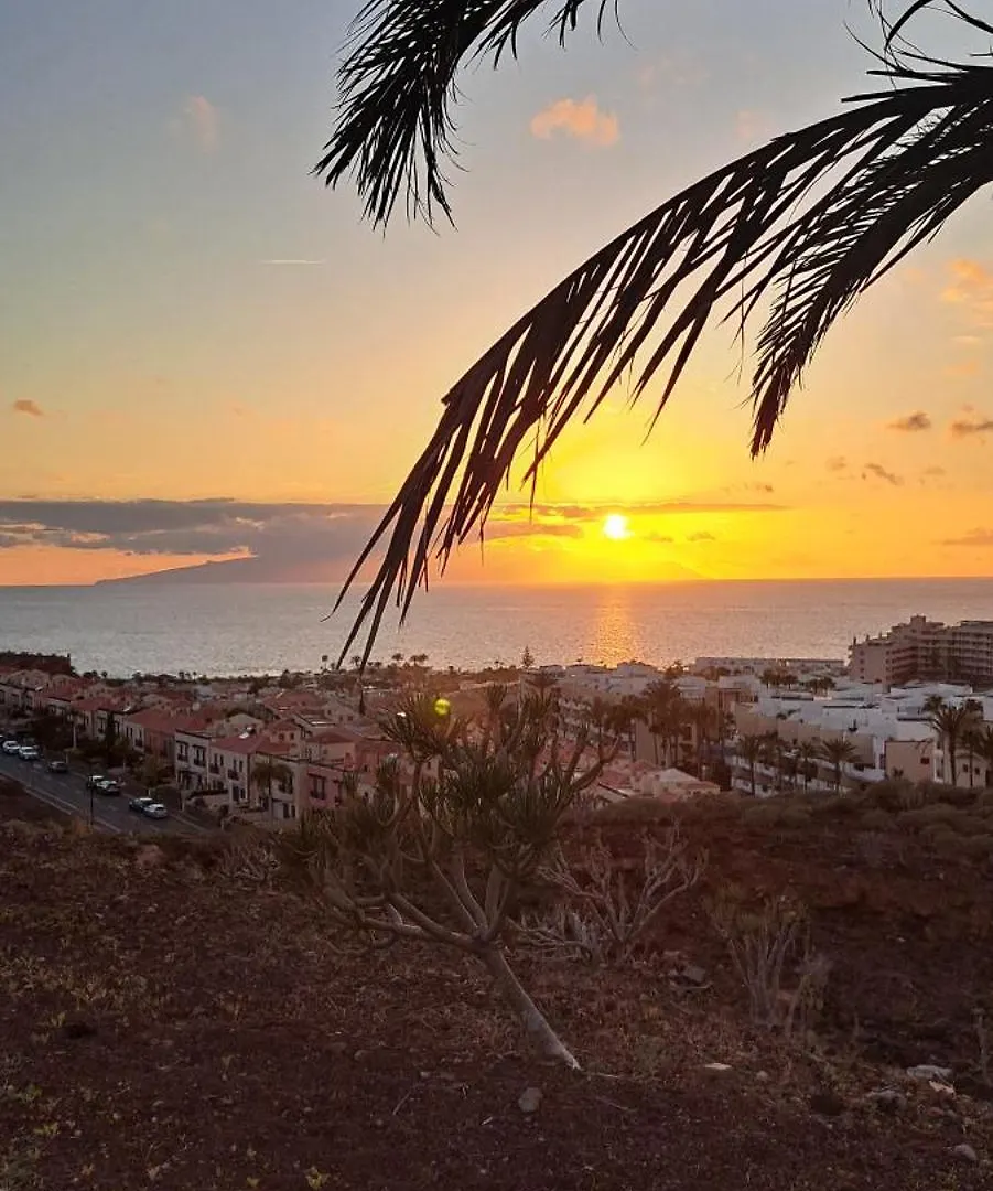 Appartement Casa Sigfrido à Palm-mar Espagne
