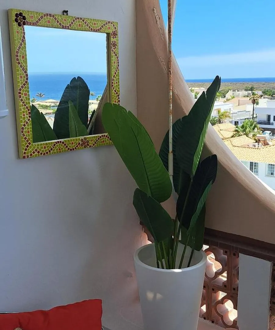 شقة Casa Sigfrido بالم مار إسبانيا